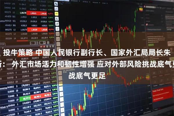投牛策略 中国人民银行副行长、国家外汇局局长朱鹤新： 外汇市场活力和韧性增强 应对外部风险挑战底气更足