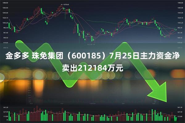 金多多 珠免集团(600185)7月25日主力资金净卖出212184万元