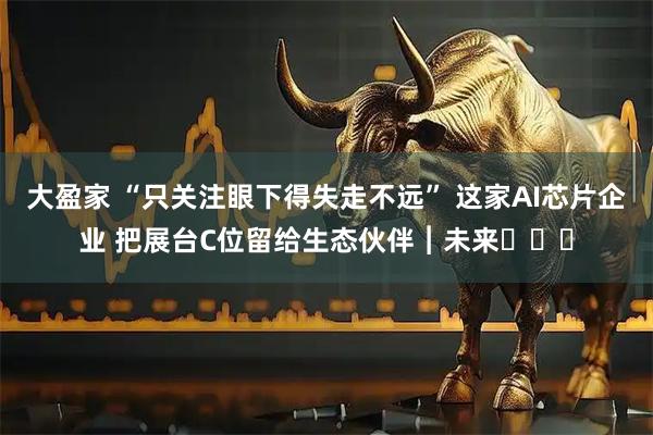 大盈家 “只关注眼下得失走不远” 这家AI芯片企业 把展台C位留给生态伙伴︱未来・♾️